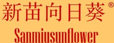 新苗向日葵San miusunflower