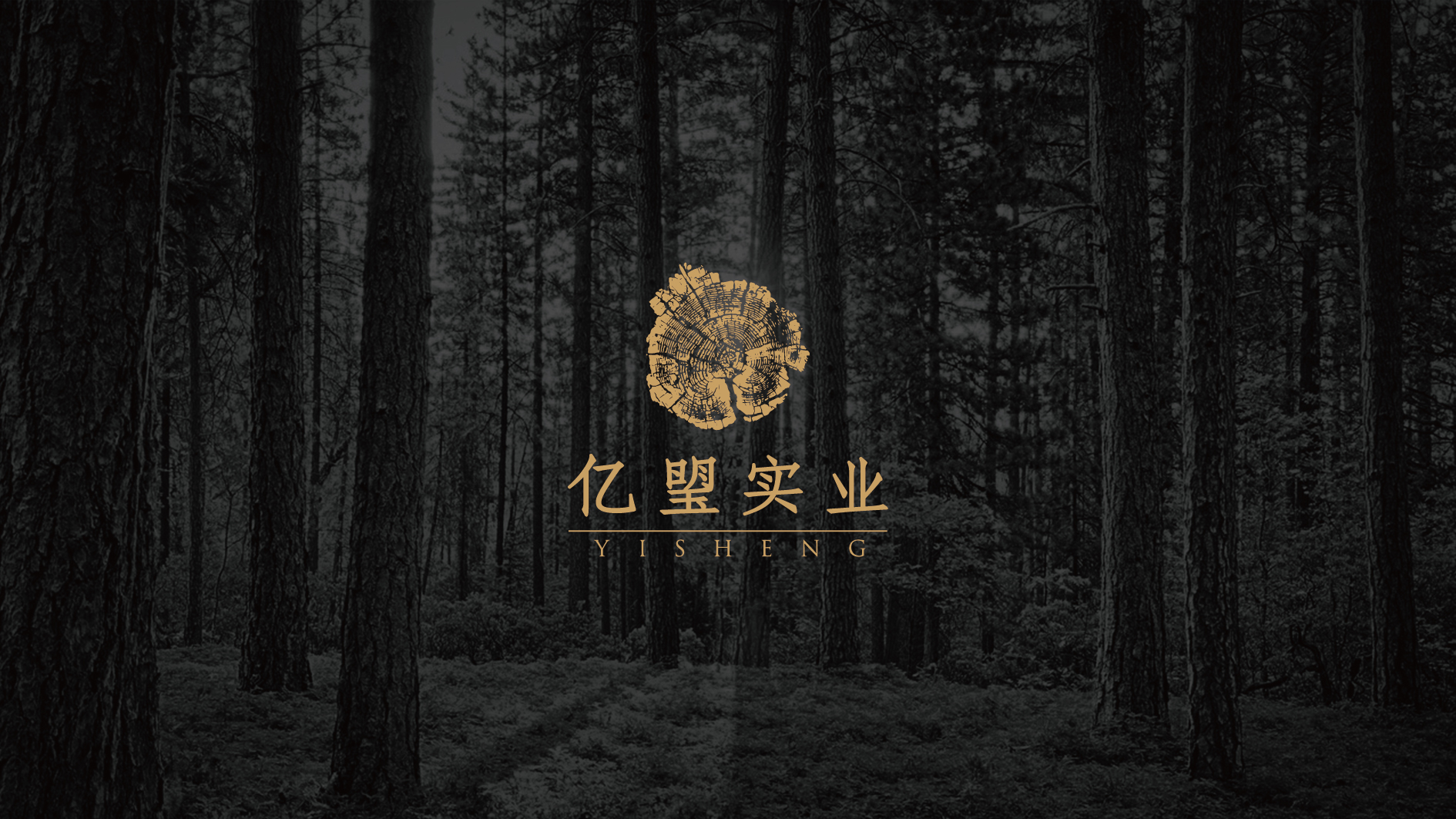 辽宁亿琞实业有限公司